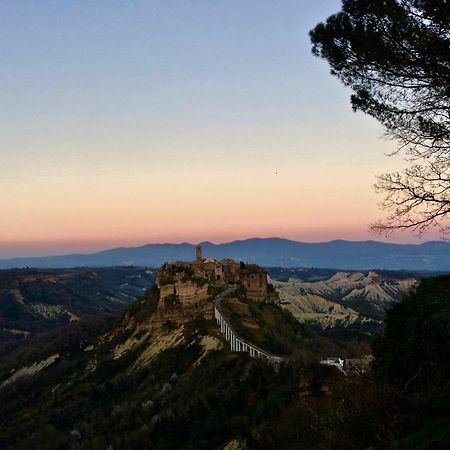 Podere Porcino Civitella dʼAgliano Buitenkant foto