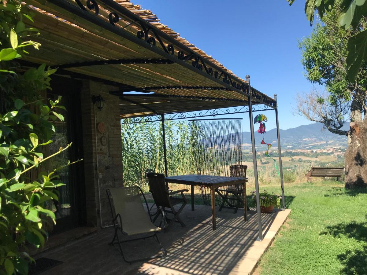 Podere Porcino Civitella dʼAgliano Buitenkant foto
