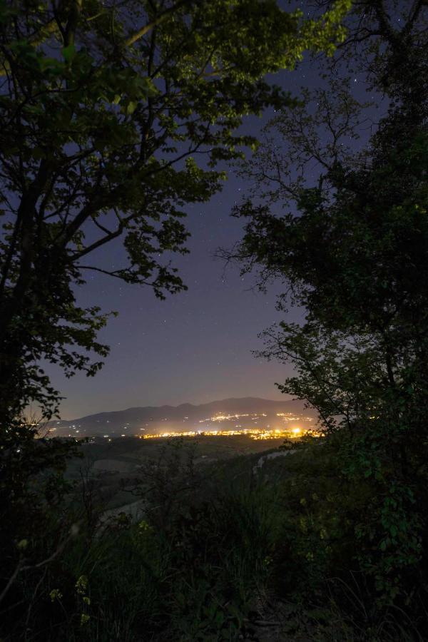 Podere Porcino Civitella dʼAgliano Buitenkant foto