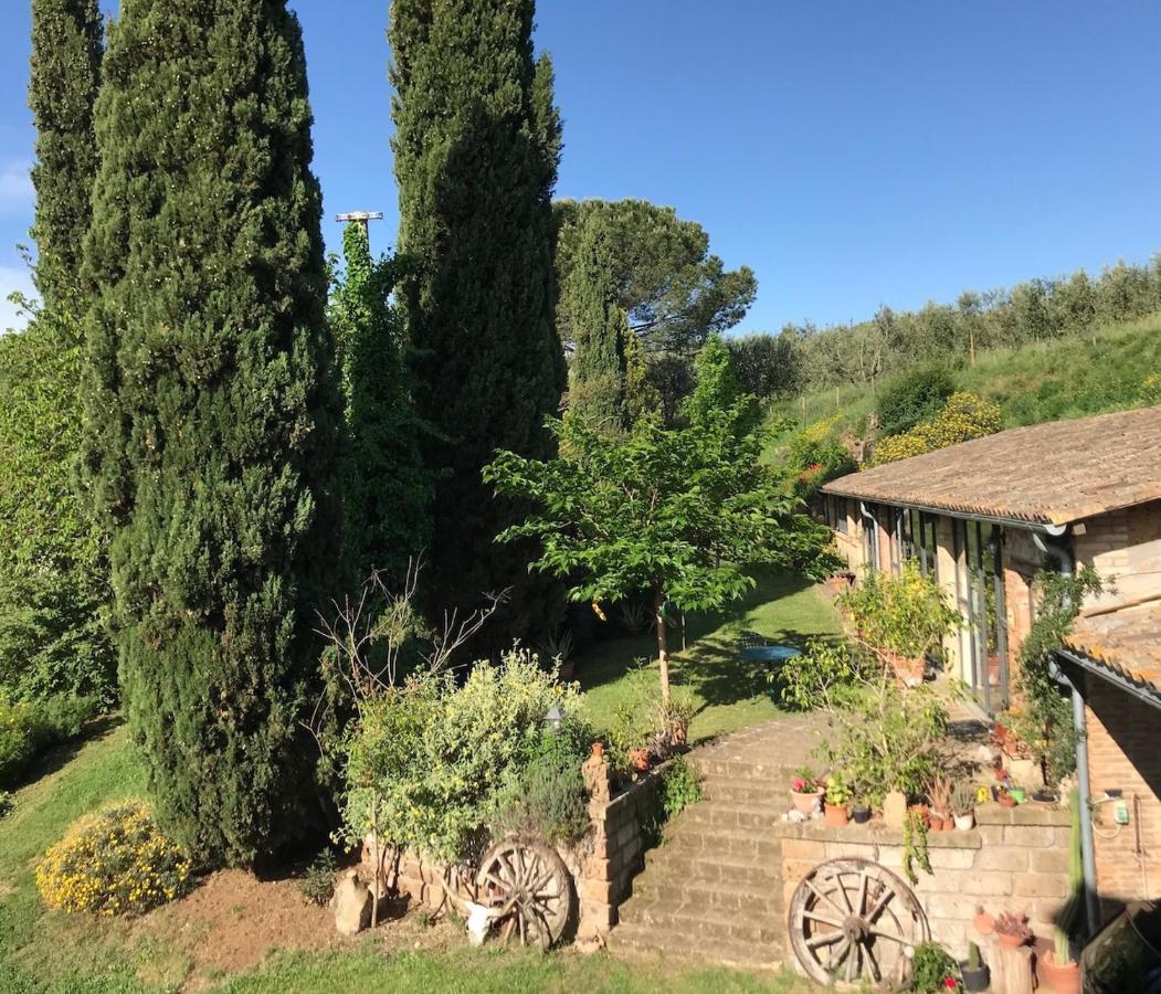 Podere Porcino Civitella dʼAgliano Buitenkant foto