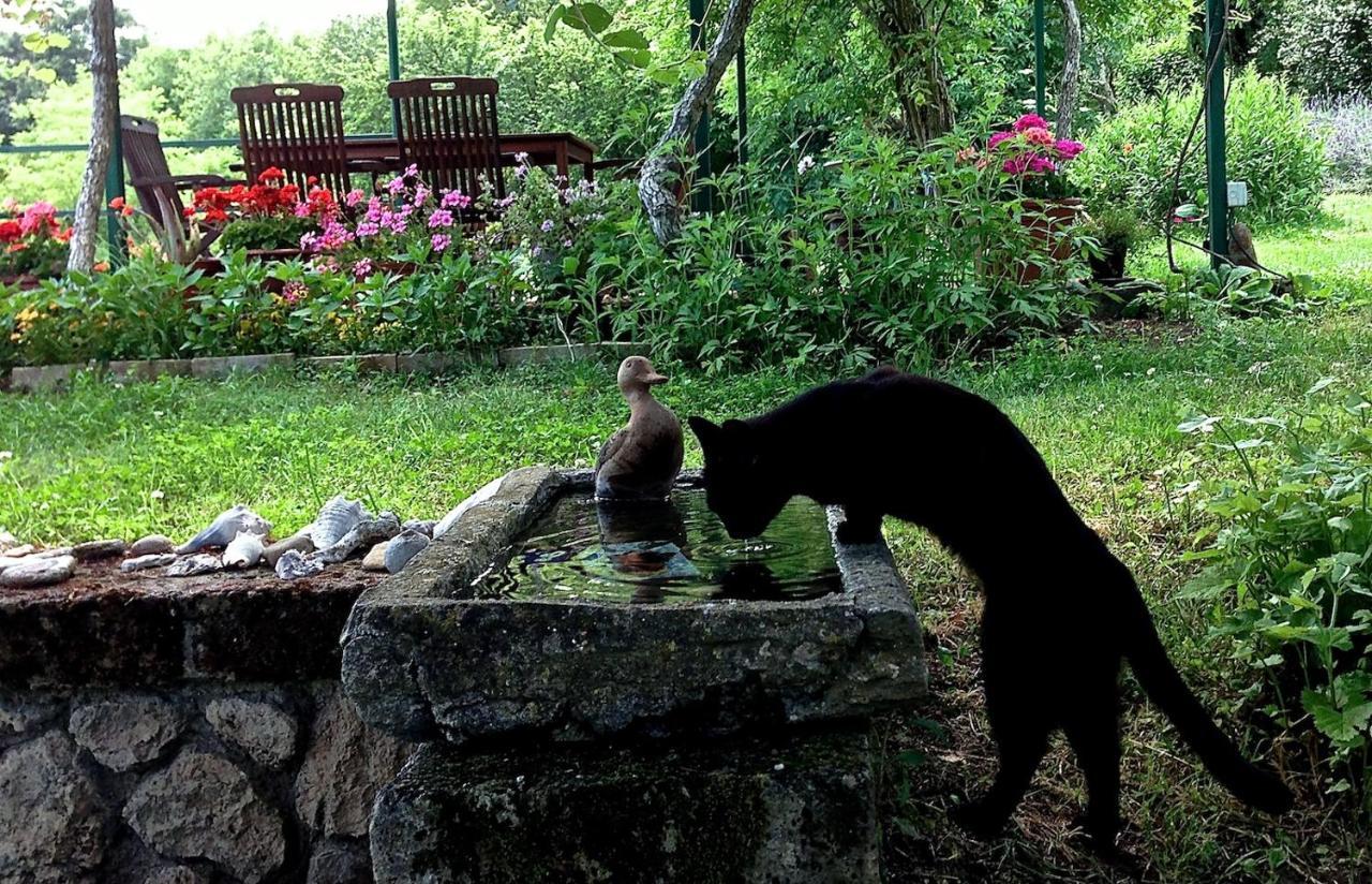 Podere Porcino Civitella dʼAgliano Buitenkant foto