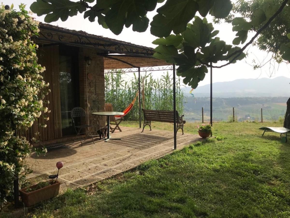 Podere Porcino Civitella dʼAgliano Buitenkant foto