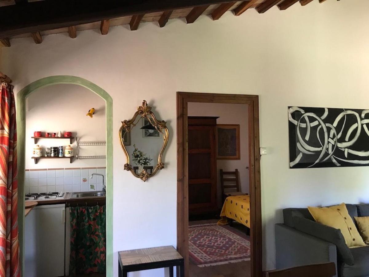 Podere Porcino Civitella dʼAgliano Buitenkant foto