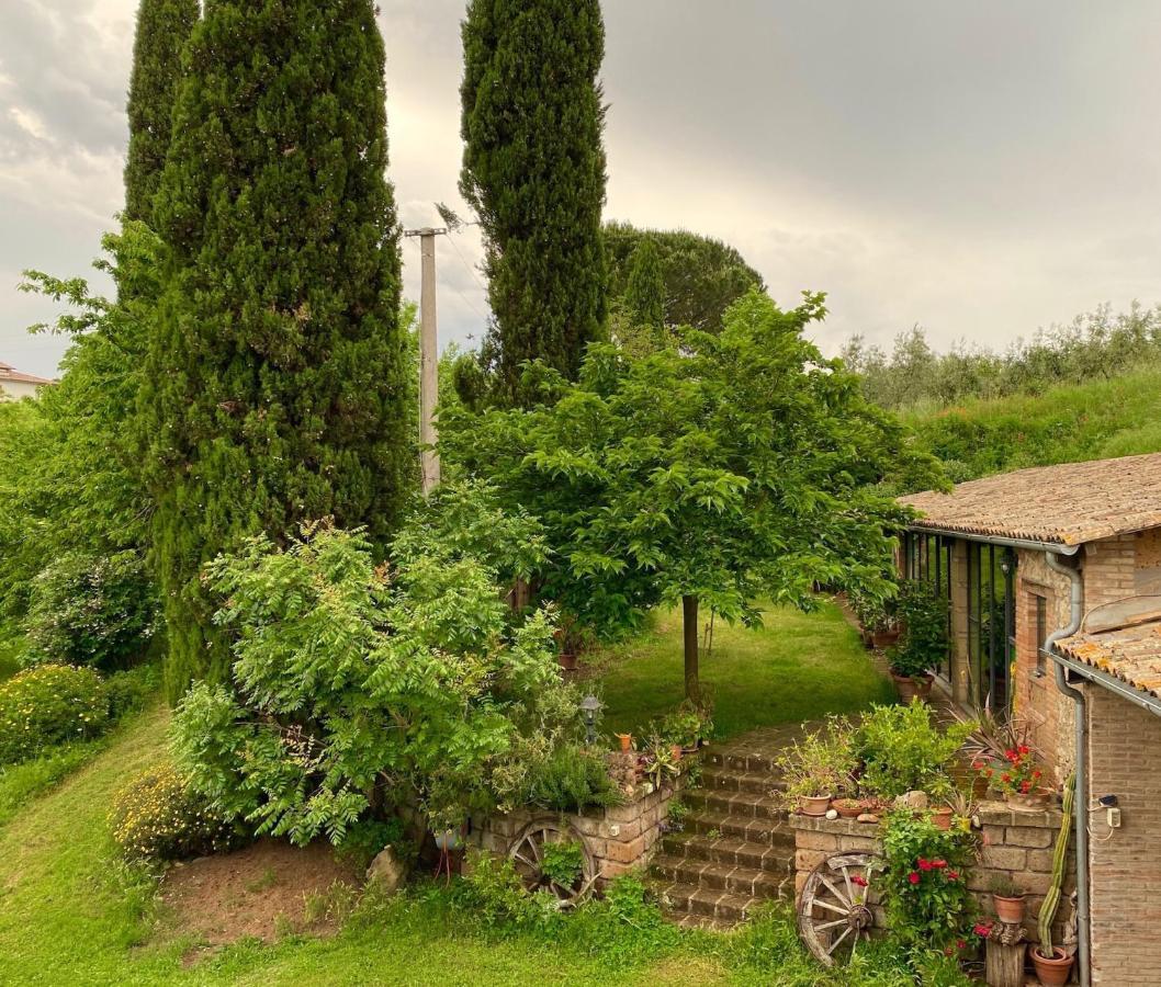 Podere Porcino Civitella dʼAgliano Buitenkant foto