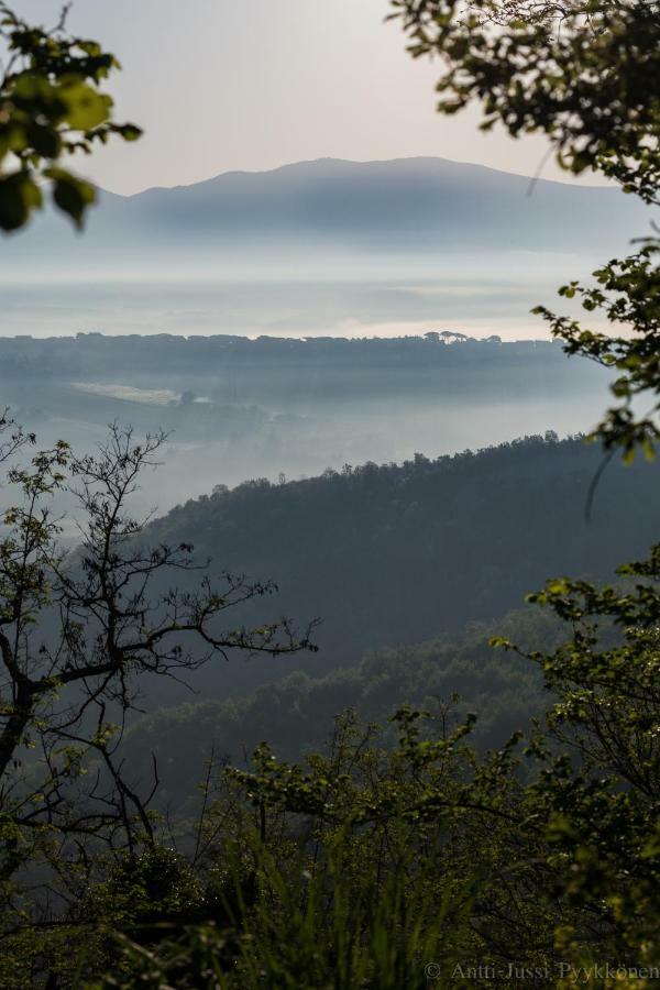 Podere Porcino Civitella dʼAgliano Buitenkant foto