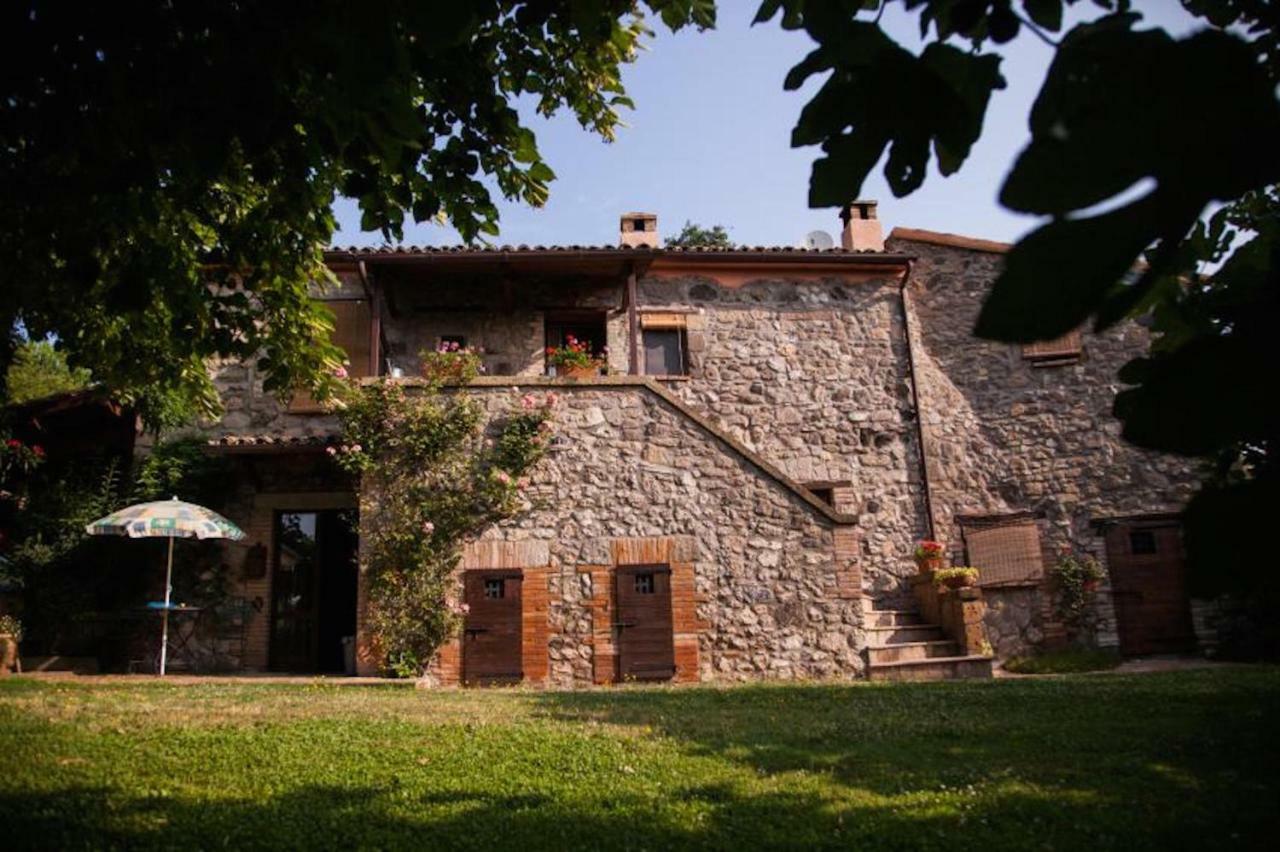 Podere Porcino Civitella dʼAgliano Buitenkant foto