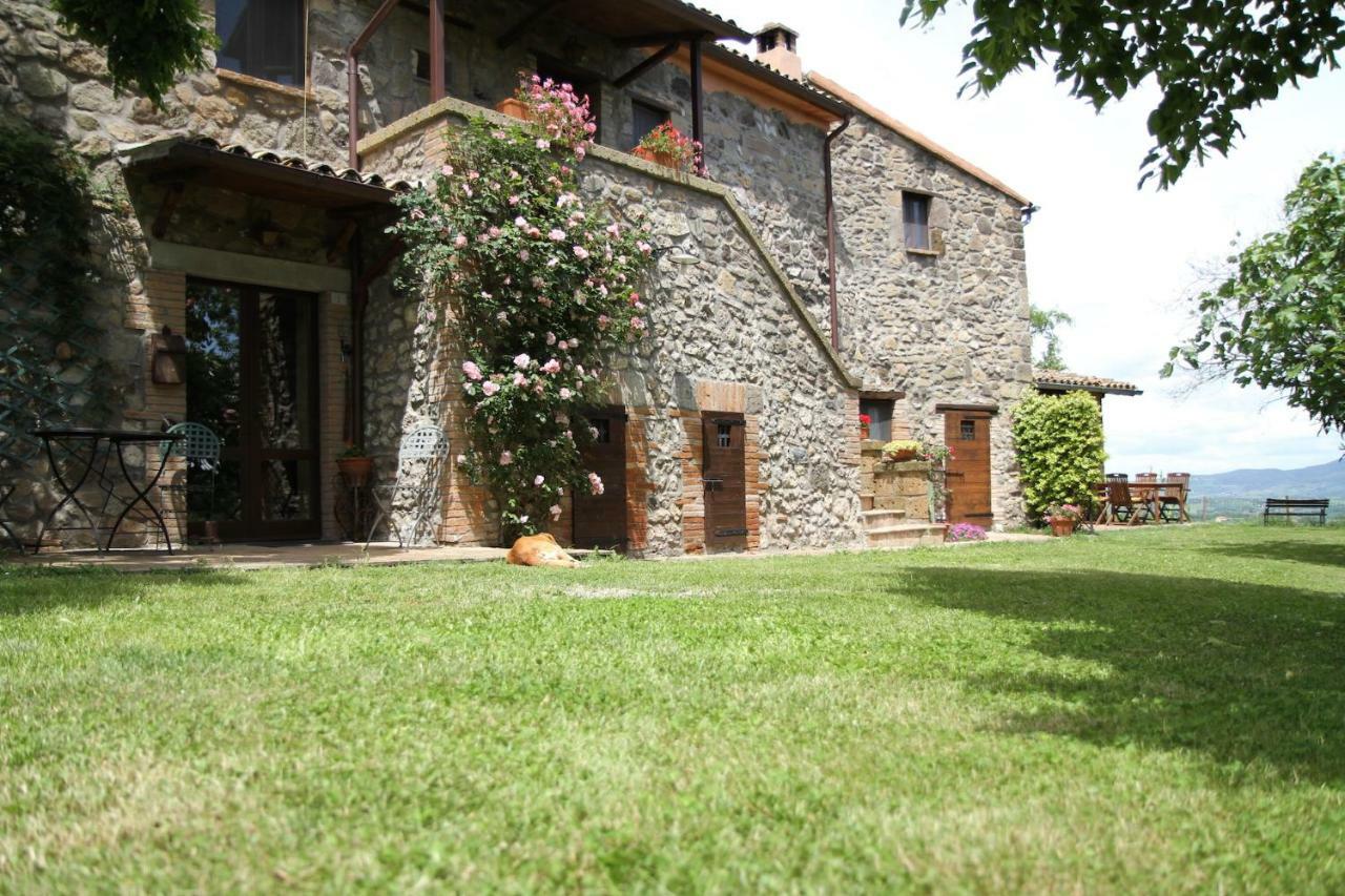 Podere Porcino Civitella dʼAgliano Buitenkant foto