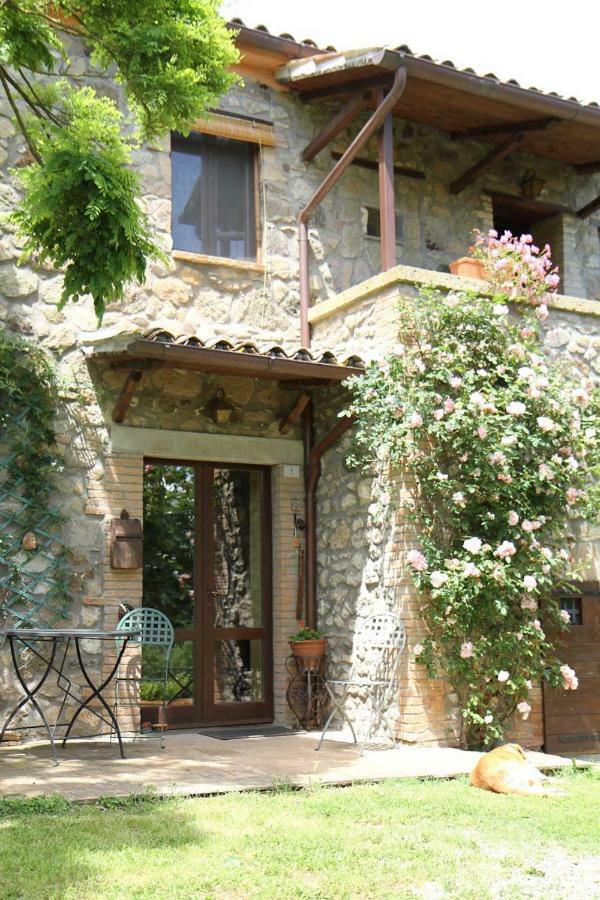 Podere Porcino Civitella dʼAgliano Buitenkant foto