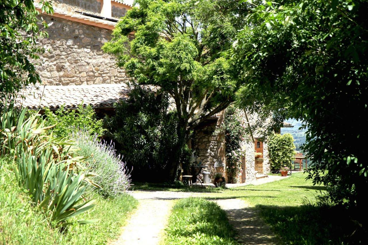 Podere Porcino Civitella dʼAgliano Buitenkant foto