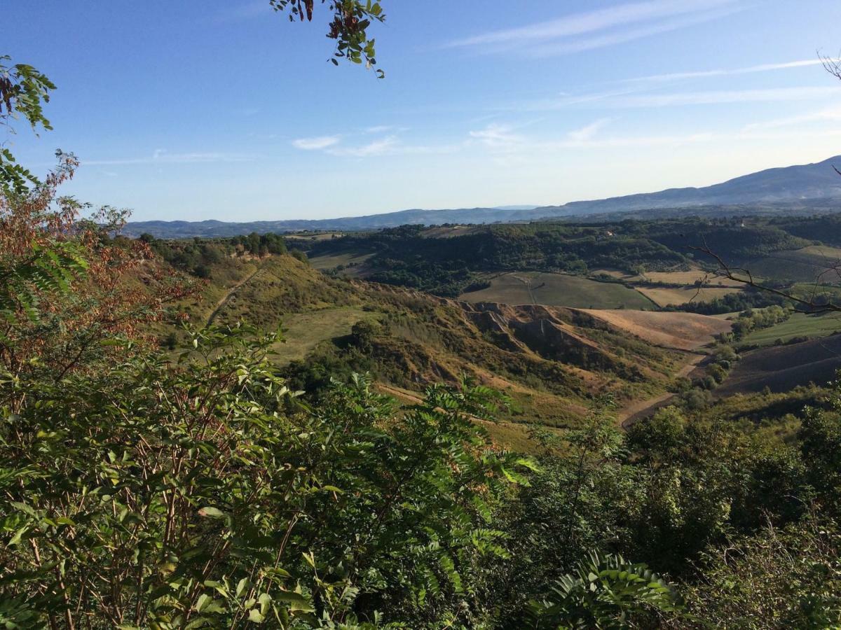 Podere Porcino Civitella dʼAgliano Buitenkant foto