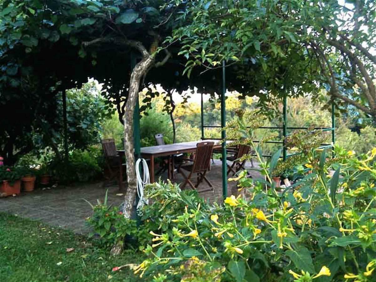Podere Porcino Civitella dʼAgliano Buitenkant foto